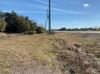 13635 State Road 54 photo